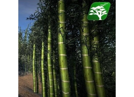 Bamboo Tree Pack 1.0 - ģ