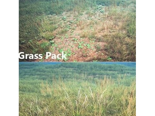UnityݵԴ Grass Pack