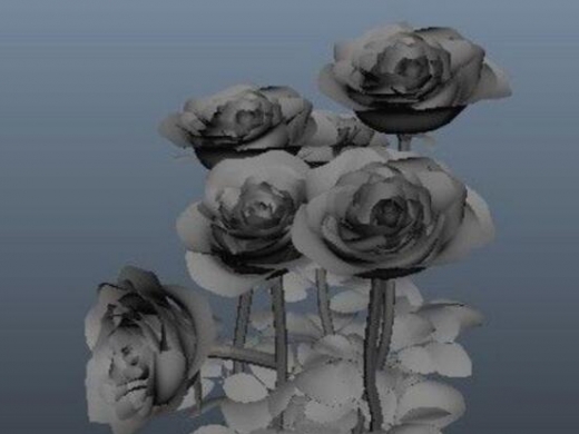 玫瑰花maya模型