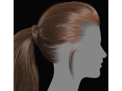 Realistic Ponytail HairStyle with XGen & Redshift