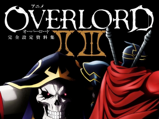 ֮ٷ趨Anime Overlord II III Complete Art Book