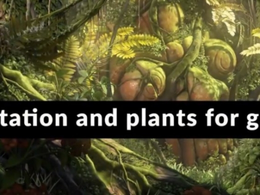 大型游戏植物植被森林环境场景制作视频次时代学习资源16g