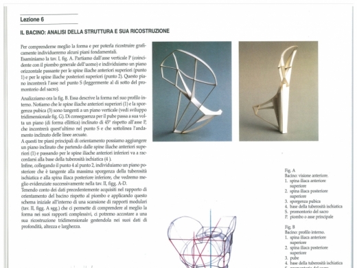 Manuale di anatomia artistica vol1