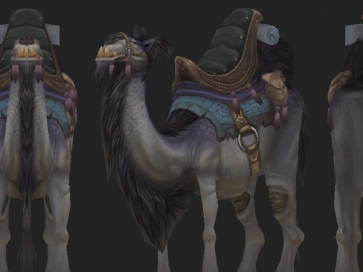 ħ硿Camel 